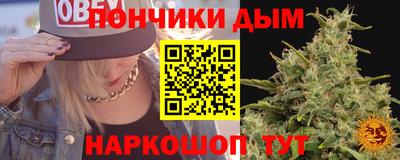 кокс Можга
