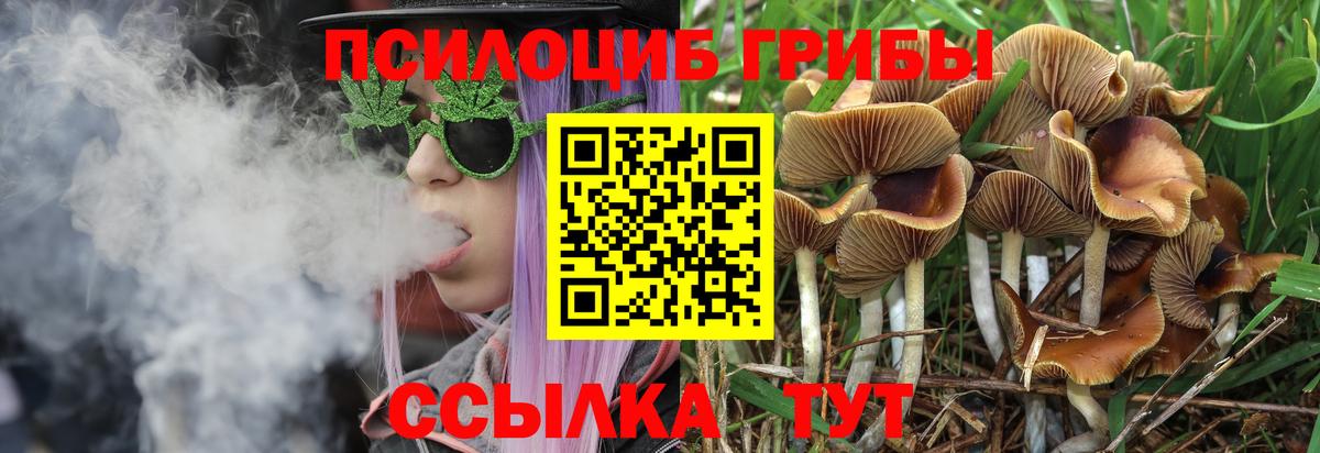 Людиново  Псилоцибиновые грибы Cubensis  где купить   Вход с VPN 